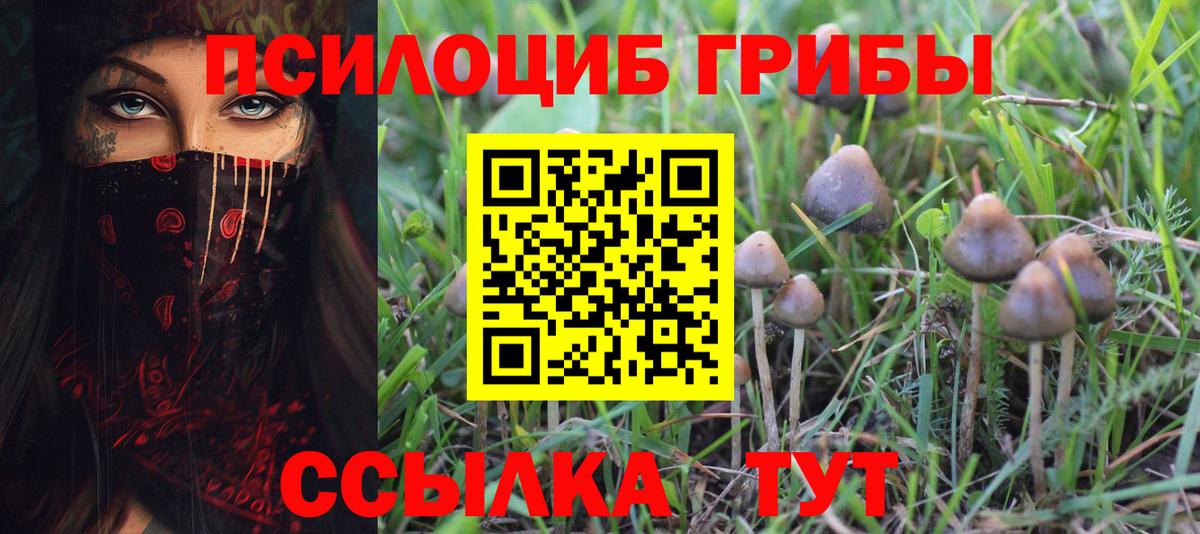 Псилоцибиновые грибы ЛСД Морозовск